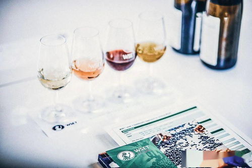 WSET在華暫停課程與考試，酒類培訓機構接受調(diào)查引發(fā)行業(yè)關注