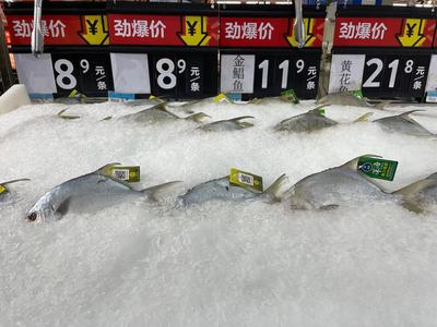 冷鏈產品還能買嗎？記者實探 有菜場停售進口海鮮，部分商超啟用水產品“身份證”