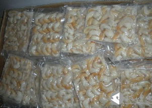 鳥蛤 海洋中的珍饈與生態守護者