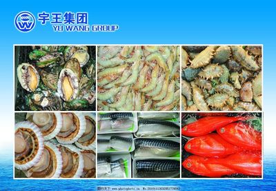水產(chǎn)品 大海的饋贈與人類的智慧